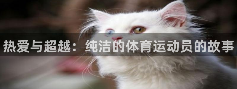 热爱与超越：纯洁的体育运动员的故事