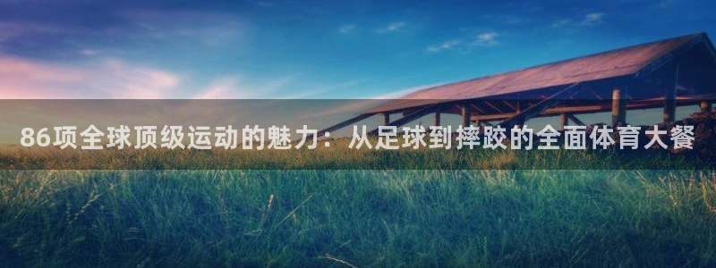 86项全球顶级运动的魅力：从足球到摔跤的全面体育大餐