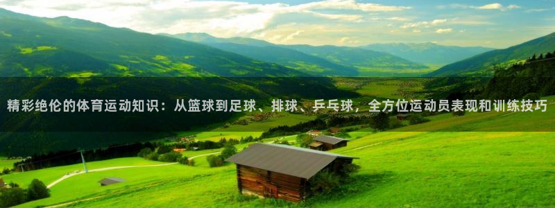精彩绝伦的体育运动知识：从篮球到足球、排球、乒乓球，全方位运动员表现和训练技巧