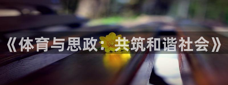 《体育与思政：共筑和谐社会》