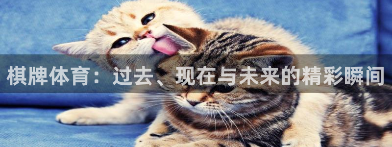棋牌体育：过去、现在与未来的精彩瞬间
