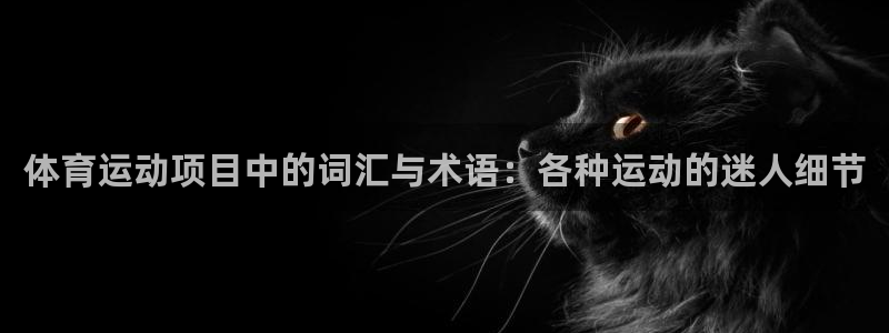 体育运动项目中的词汇与术语：各种运动的迷人细节