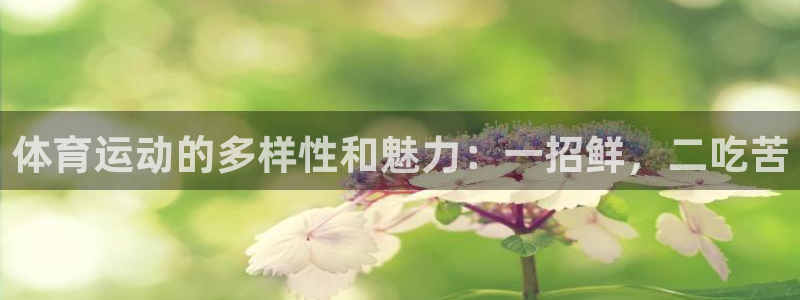 体育运动的多样性和魅力：一招鲜，二吃苦