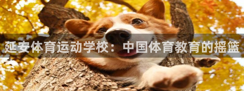 延安体育运动学校：中国体育教育的摇篮