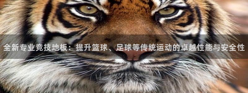 全新专业竞技地板：提升篮球、足球等传统运动的卓越性能与安全性