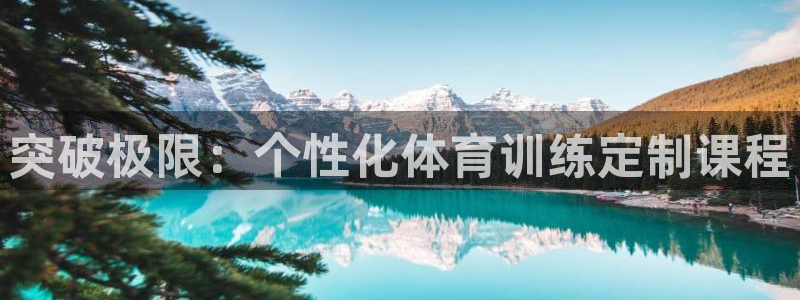 突破极限：个性化体育训练定制课程