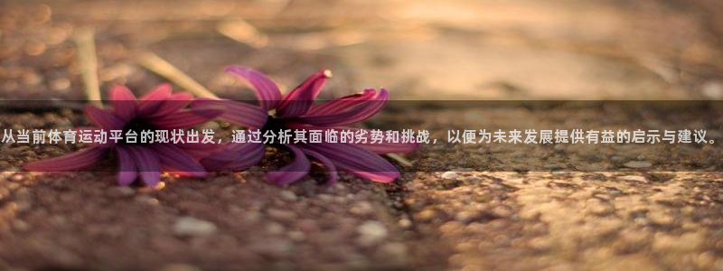 从当前体育运动平台的现状出发，通过分析其面临的劣势和挑战，以便为未来发展提供有益的启示与建议。