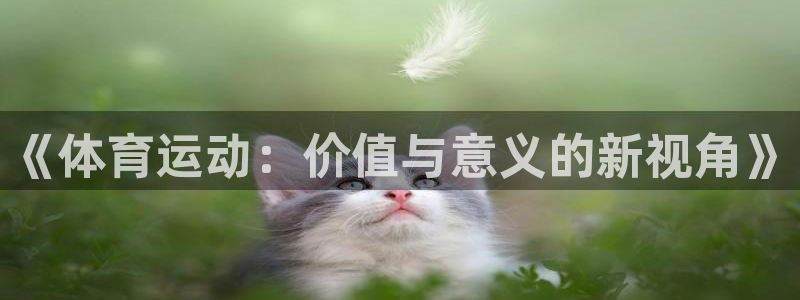 《体育运动：价值与意义的新视角》