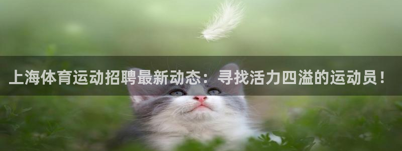 上海体育运动招聘最新动态：寻找活力四溢的运动员！
